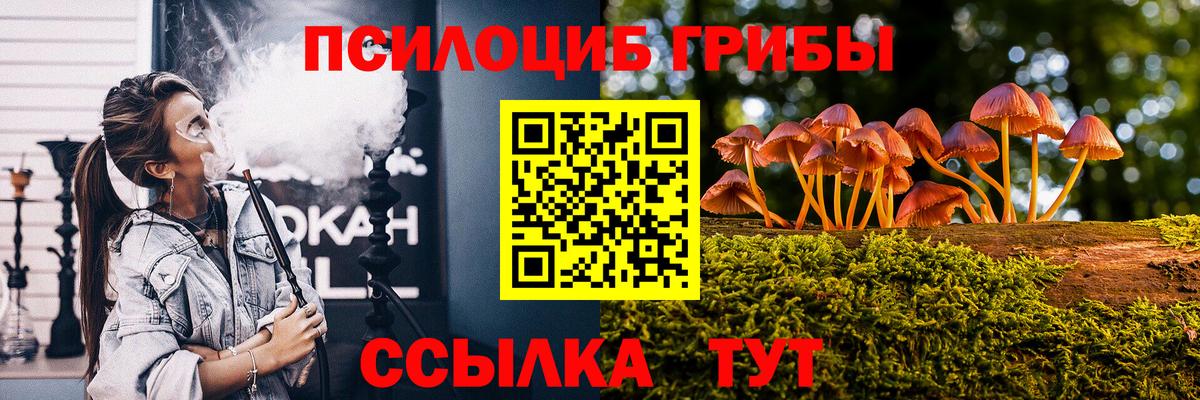 Новошахтинск  Галлюциногенные грибы мицелий  Вход с VPN 